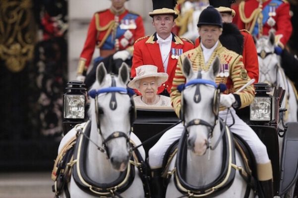 Windsor Grey, the gray carriage horses of British Royalty